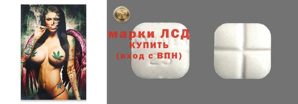 прущие грибы Алексин