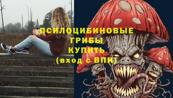 прущие грибы Алексин
